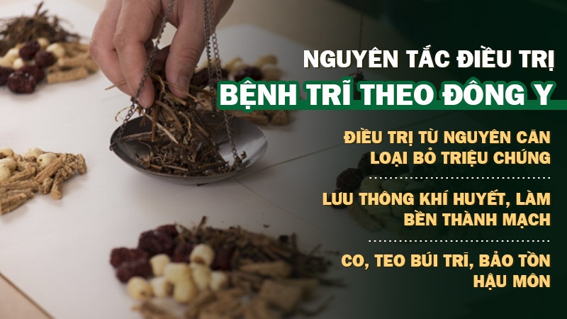 Nguyên tắc điều trị bệnh trĩ của YHCT