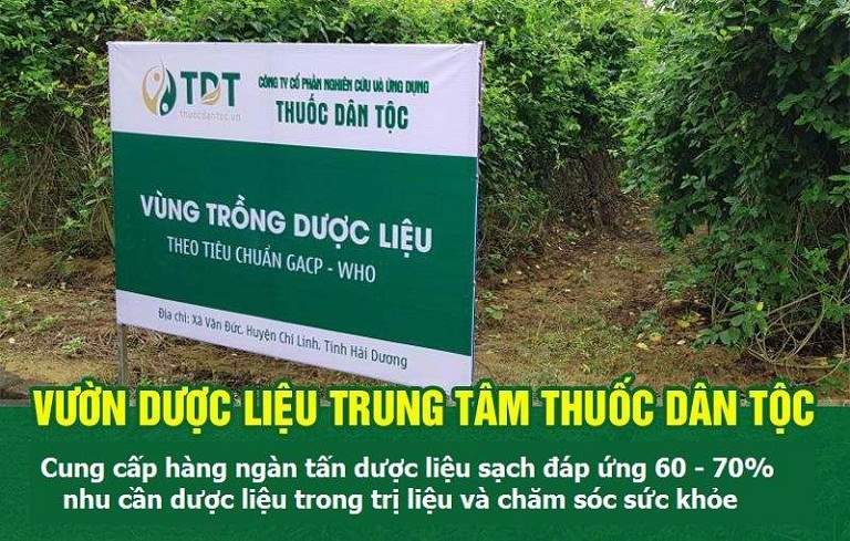 Vườn dược liệu Trung tâm Thuốc dân tộc tại Hải Dương