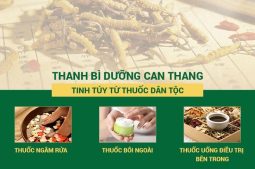 Bài Thuốc Viêm Da Thuốc Dân Tộc - Điều Trị Bệnh Từ Gốc, Chống Tái Phát