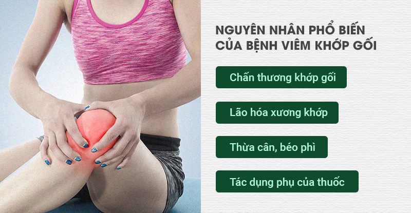 Nguyên nhân gây bệnh viêm khớp gối