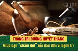 An tâm điều trị bệnh trĩ bằng YHCT với giải pháp tại Trung tâm Thuốc dân tộc