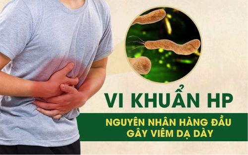 Vi khuẩn HP