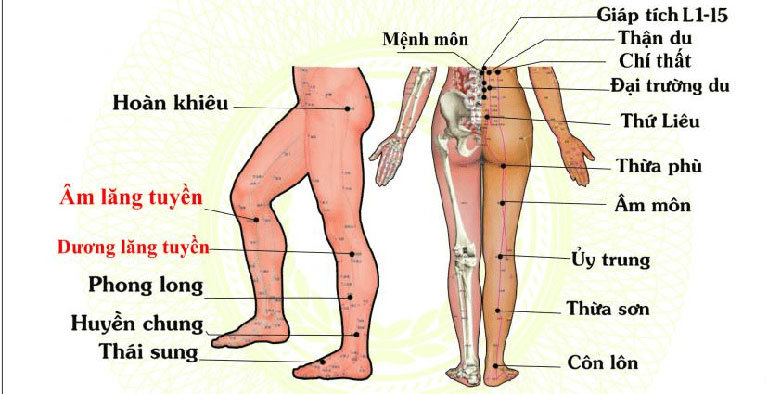 châm cứu chữa đau thần kinh tọa có đau không?