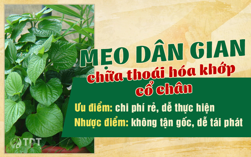 Mẹo dân gian chữa thoái hóa khớp cổ chân