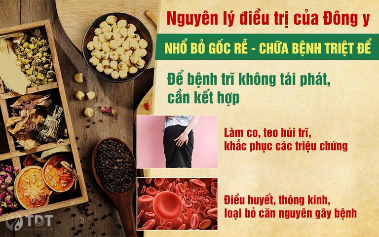 Công dụng bài thuốc chữa trĩ - Thăng trĩ Dưỡng huyết thang