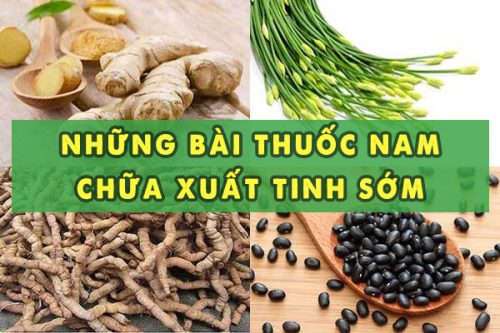 Chữa xuất tinh sớm bằng thuốc nam