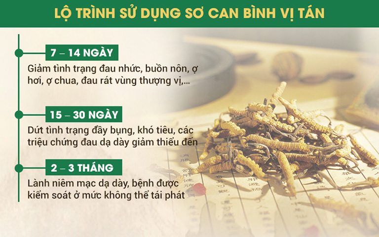 Lộ trình sử dụng Sơ can bình vị tán khi chữa bệnh dạ dày tại Thuốc dân tộc của NSND Trần Nhượng