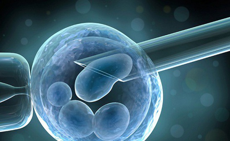 Tinh trùng dị dạng có gây ảnh hưởng đến khả năng thụ thai không?