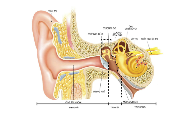 Viêm tai giữa có nguy hiểm không?
