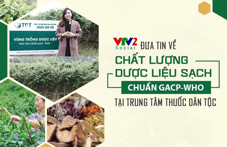 VTV2 đưa tin chất lượng dược liệu của Trung tâm Thuốc dân tộc