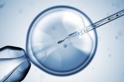 Tiêm tinh trùng vào bào tương trứng thường áp dụng cho trường hợp tinh trùng dị dạng 100%