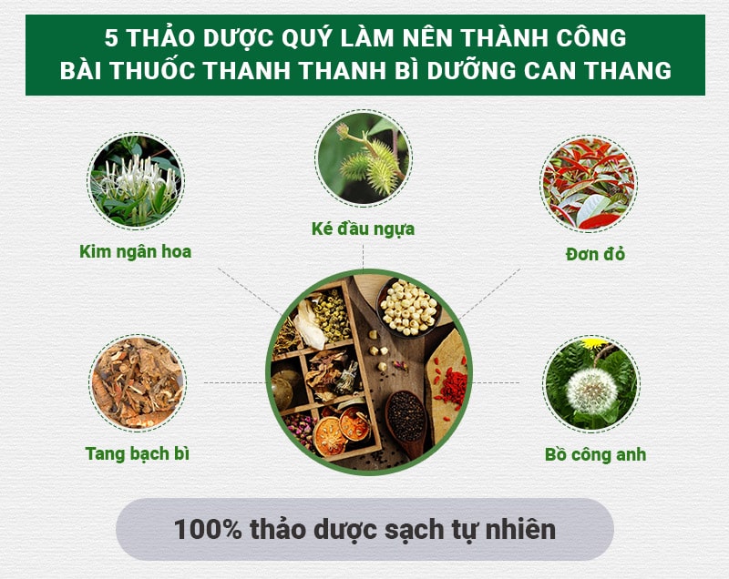 Thành phần bài thuốc chữa viêm da cơ địa Thanh bì Dưỡng can thang