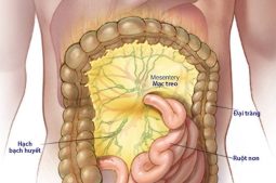 bệnh đường ruột