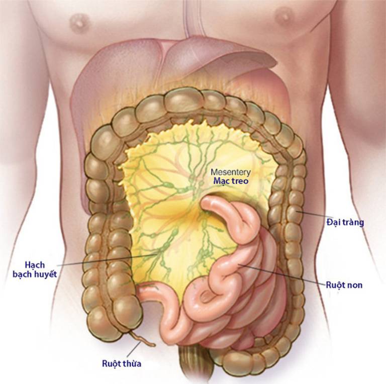 bệnh đường ruột