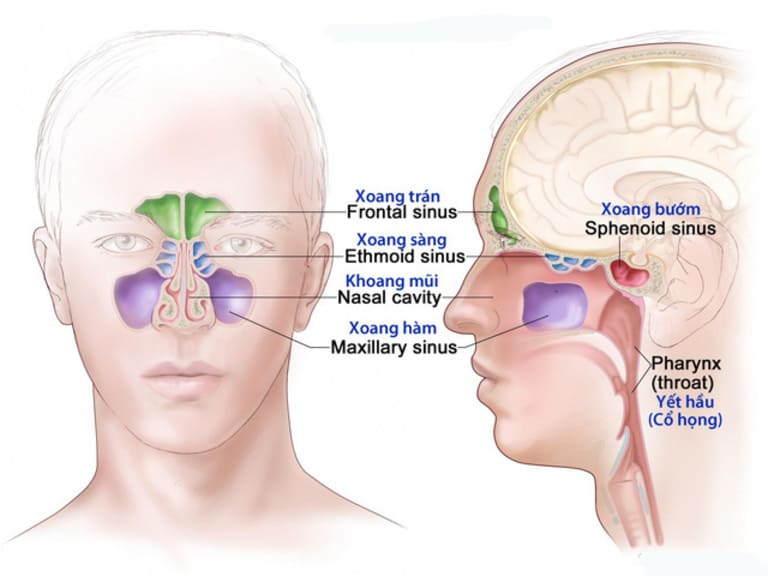 Điều trị viêm xoang trán