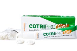 Gel bôi trĩ Cotripro là một chế phẩm điều trị bệnh trĩ hữu hiệu hiện nay.