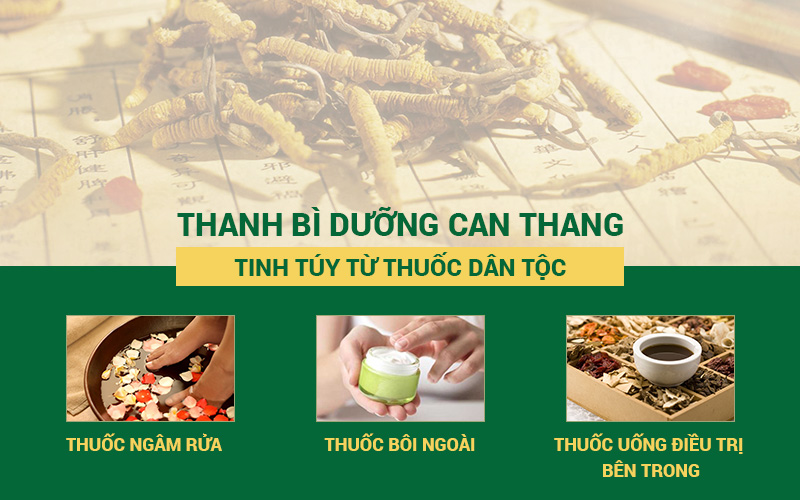 Các dạng nhỏ của bài thuốc Thanh bì dưỡng can thang đặc trị các bệnh viêm da