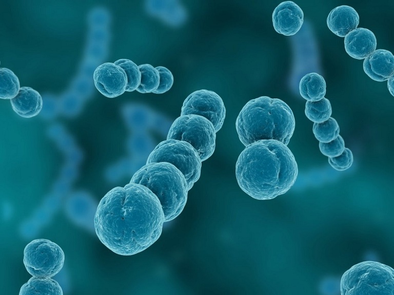 Viêm họng do nhiễm khuẩn Streptococcus