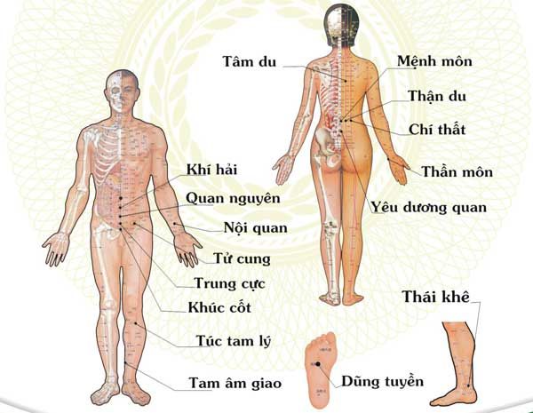 Tùy vào tình trạng bệnh bác sĩ sẽ đưa ra phác đồ cấy chỉ lên các huyệt đạo cần thiết