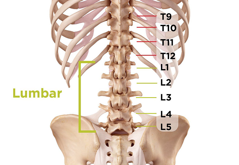 thoái hóa đốt sống lưng l5 là gì