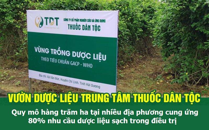 Trung tâm Thuốc dân tộc sở hữu hàng trăm ha dược liệu sạch