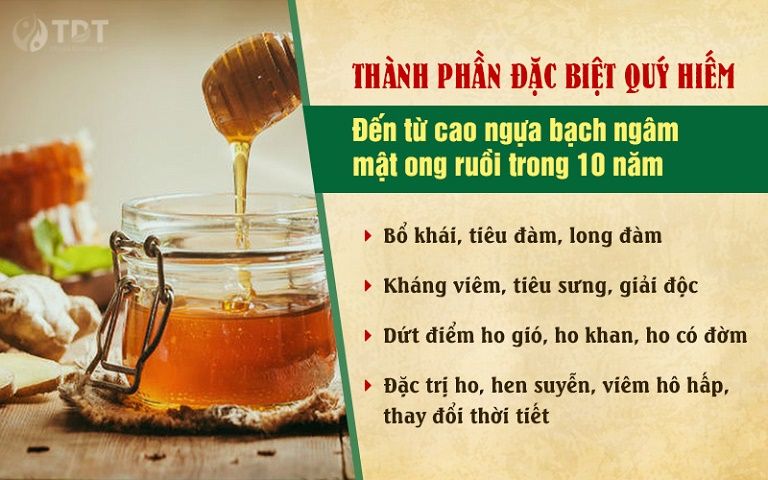 ích phế nam bào chế từ phổi ngựa bạch ngâm mật ong trong 10 năm