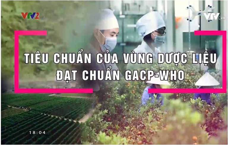 VTV2 giới thiệu vườn dược liệu sạch