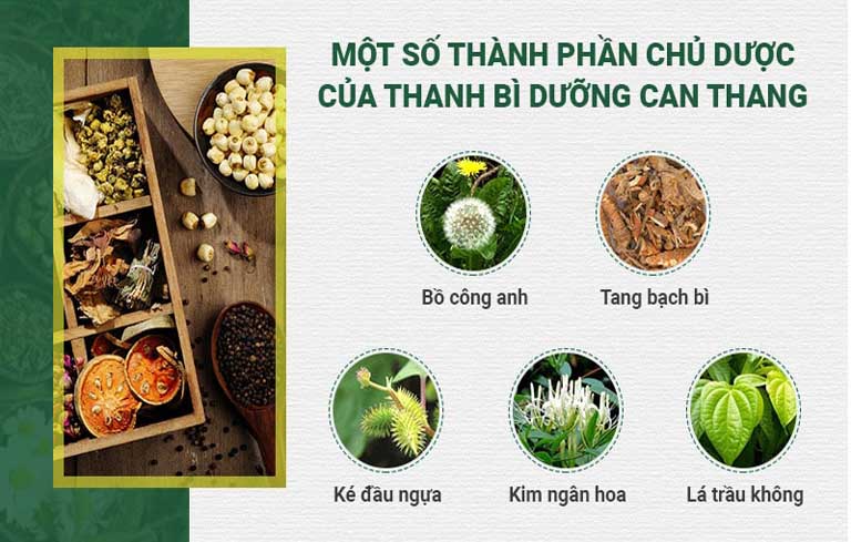 Thanh bì Dưỡng can thang gồm nhiều vị thuốc tốt cho da