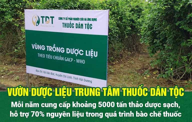 Vườn chuyên canh thảo dược của Trung tâm