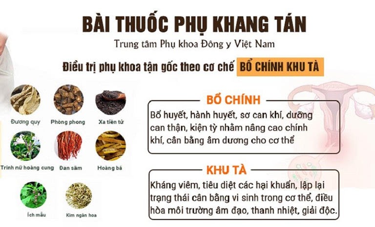 Cơ chế điều trị của Phụ Khang Tán