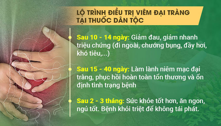 Lộ trình tiến triển của các bệnh lý đại tràng sau khi sử dụng Tiêu thực Phục tràng hoàn