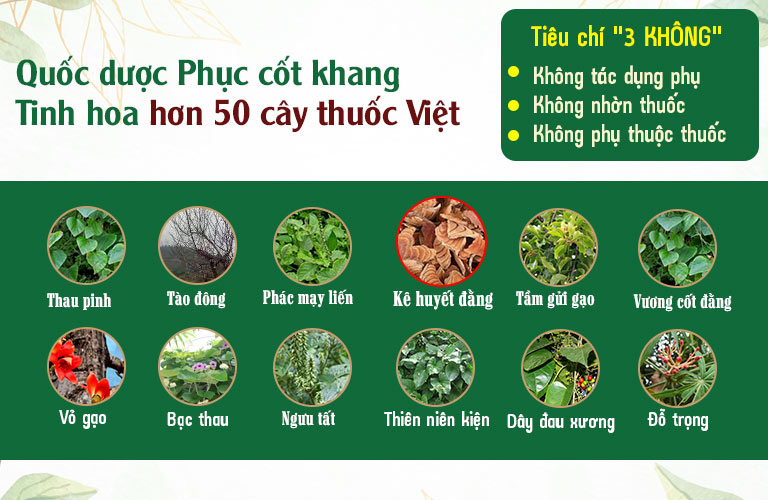 đau nửa đầu sau gáy uống thuốc gì