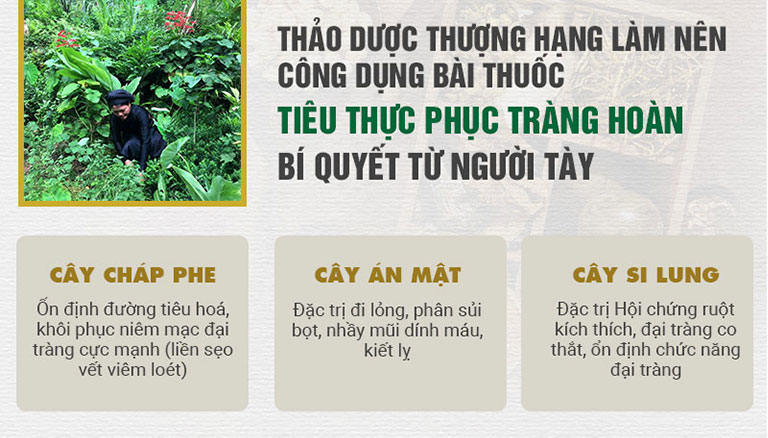 Công dụng của 3 loại dược liệu bí truyền chữa bệnh đại tràng của người Tày