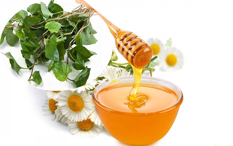 Điều trị viêm xoang bằng rau diếp cá và mật ong