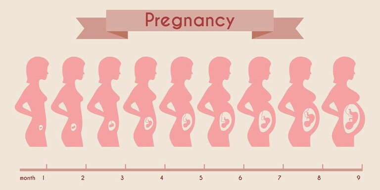 Có thai bao lâu thì bụng mới to? 