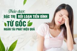 Bài thuốc Định tâm An thần thang điều trị dứt điểm rối loạn tiền đình, lấy lại cuộc sống thăng bằng