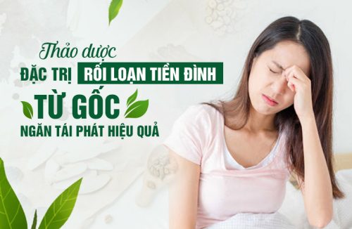 Bài thuốc Định tâm An thần thang điều trị dứt điểm rối loạn tiền đình, lấy lại cuộc sống thăng bằng