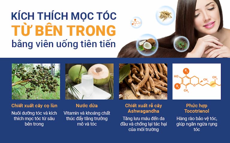 Thành phần thảo dược có trong viên uống kích thích mọc tóc thảo dược