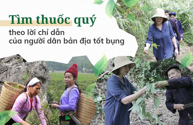 Đoàn nghiên cứu sưu tầm và tìm kiếm bài thuốc quý