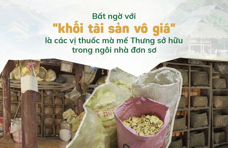 Thuốc Nam là tài sản vô giá của người Mường - Hòa Bình