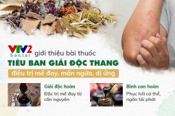 Công thức thuốc Tiêu ban Giải độc thang được VTV2 đưa tin