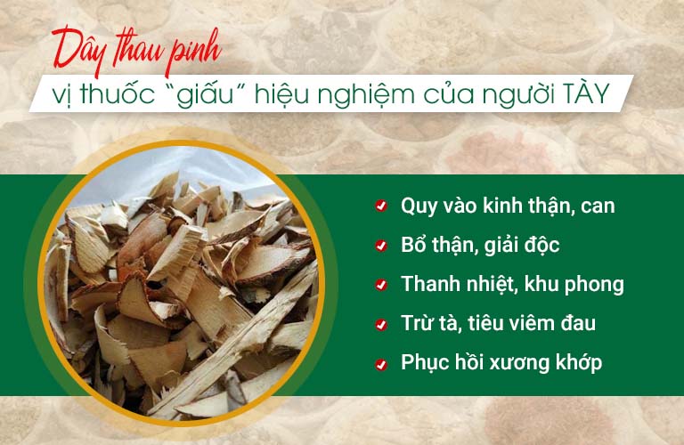 Dây thau pinh phơi khô giúp giảm đau xương khớp