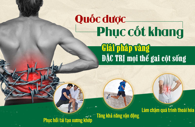 Quốc dược Phục cốt khang đặc trị gai cột sống từ gốc hiệu quả và an toàn