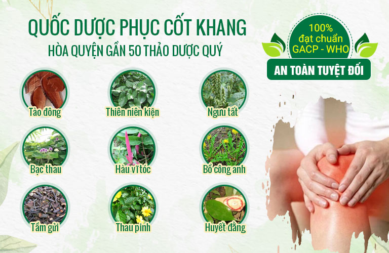 Quốc dược Phục cốt khang kết hợp nhiều thảo dược quý hiếm đạt tiêu chuẩn quốc tế