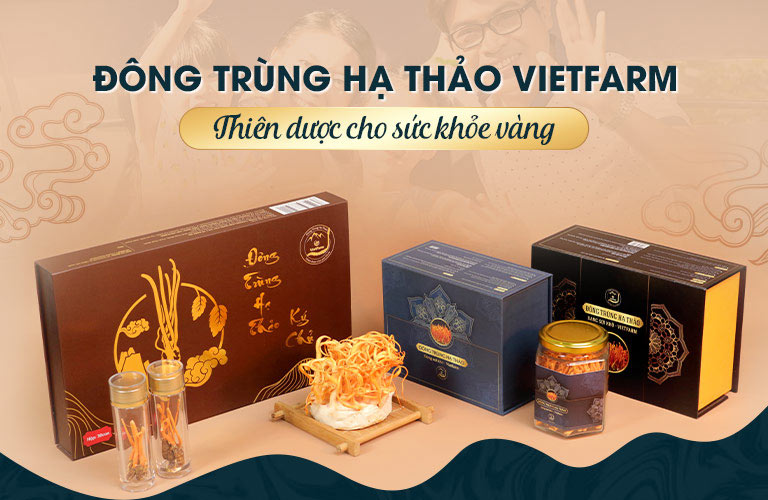 Các sản phẩm của Đông trùng hạ thảo Vietfarm đa dạng, sang trọng