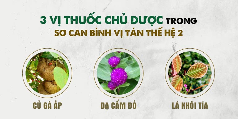 3 vị thuốc thượng hạng trong Sơ can Bình vị tán 2