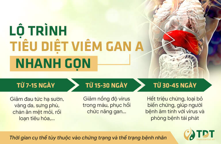 Lộ trình điều trị viêm gan A