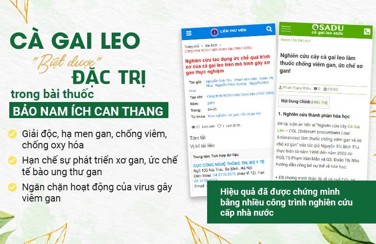 Nhiều nghiên cứu đã chứng minh hiệu quả, vai trò của dược liệu