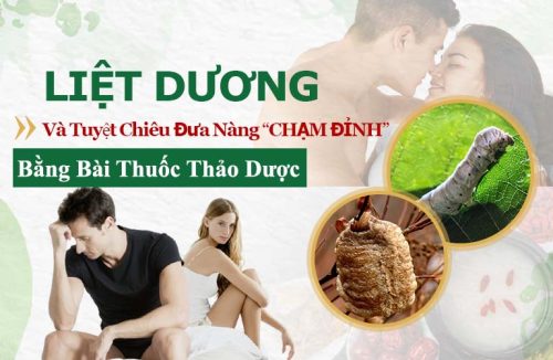 Liệt Dương Và Tuyệt Chiêu Giúp Quý Ông Dũng Mãnh Khi “YÊU”, Đưa Nàng “CHẠM ĐỈNH” Bằng Thảo Dược