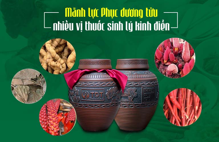 Nhiều vị thuốc sinh lý kinh điển được kết hợp